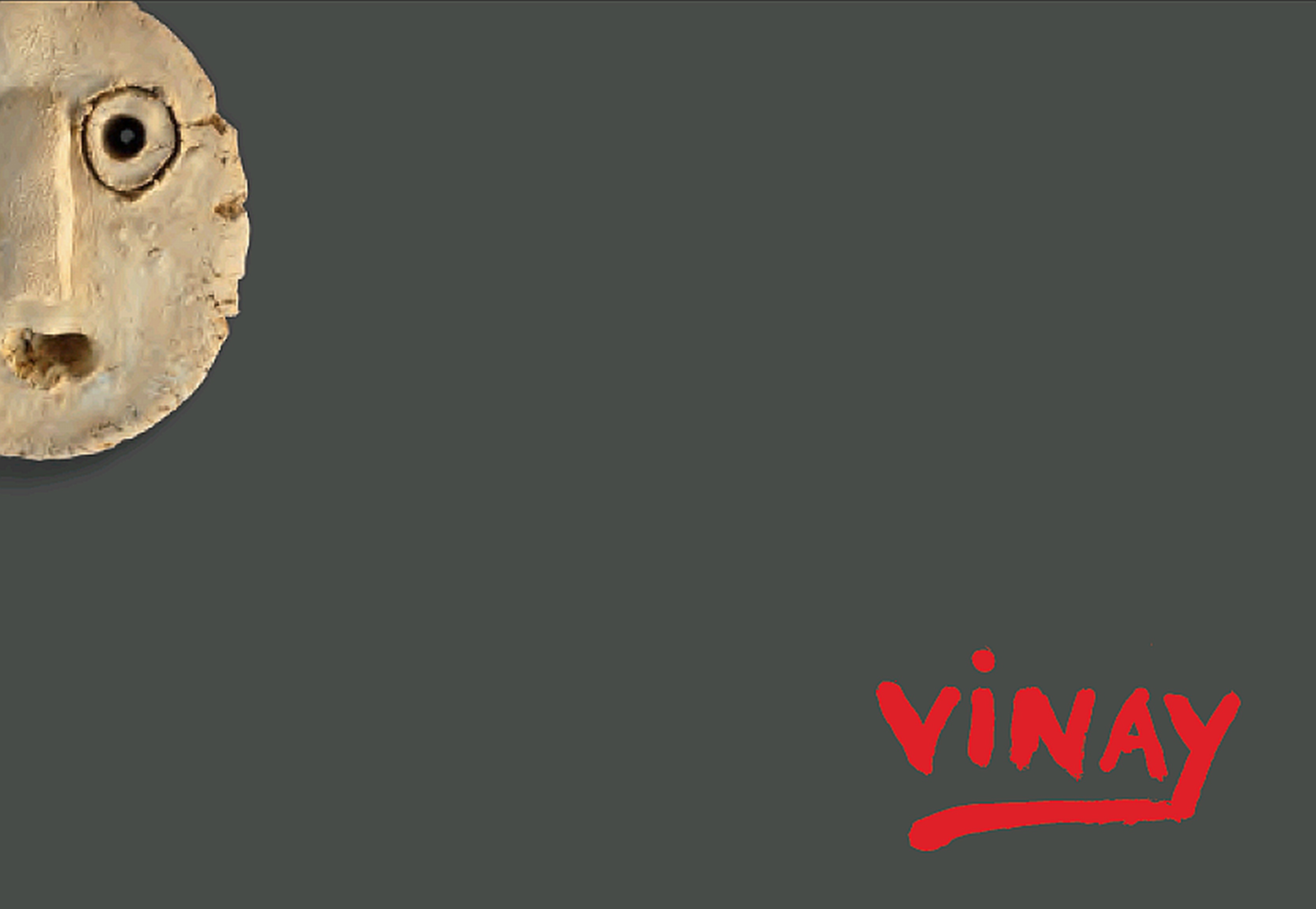 Vinay Deckblatt